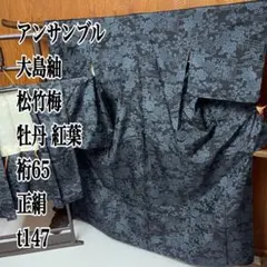 アンサンブル 大島紬 松竹梅 牡丹 紅葉 裄65 正絹 t147