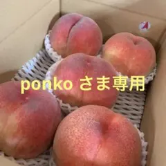 山梨一宮の木のてっぺんから収穫した　幸茜の超特大を5個詰めて発送 めっちゃ甘いょ