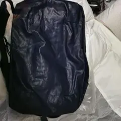 Item thumbnail for item 4902df31-7f04-4394-81a0-2498d2e38c8c