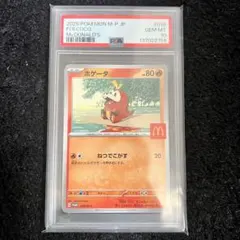 2026年最新】ホゲータ s psa10の人気アイテム - メルカリ