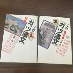 2026年最新】ガッツ漢文の人気アイテム - メルカリ