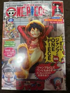ONE PIECE magazine 特別付録付き　ワンピースマガジン
