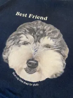 BLUELUG best friend t-shirt for pluto