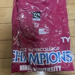 TYR XL ピンク インターカレッジ　チャンピオン Tシャツ