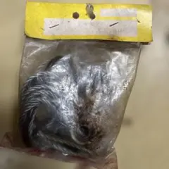 ヒロボー　スターターアッセンのサムネイル