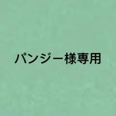 パンジー様 リクエスト 2点 まとめ商品