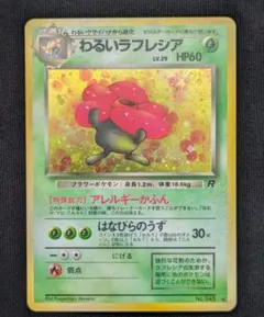 あき様 リクエスト 3点 まとめ商品