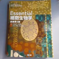 Item thumbnail for item 26c046e6-09ff-431c-a95d-c82cb9d47fc3