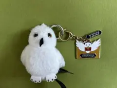 豊島園にあるスタジオメイキング・オブ・ハリー・ポッターで買ったヘドウィグです。