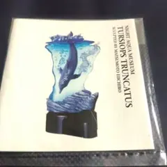 海洋堂 ナイトアクアミュージアム バンドウ イルカ フィギュア 水族館