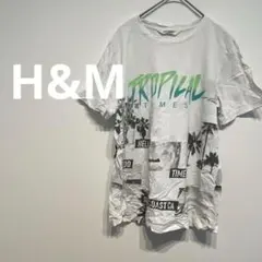 Item thumbnail for item bcaf2e2a-9d51-4774-a88c-4a2d3e8a4f3f