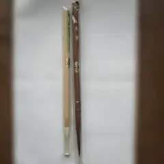 Item thumbnail for item 28837dbd-c85b-46c8-beb6-00642a4af749