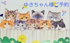 私を見つめる猫　ウサギルミちゃんBIGダイカットポーチ　コヤンイサムチョン 私を見つめる猫 ウサギルミちゃんBIGダイカットポーチ コヤンイサム
