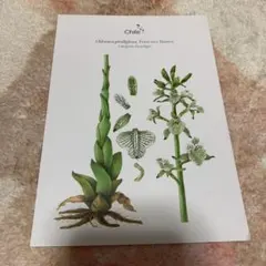 Item thumbnail for item 8df0a463-f4eb-49a9-b94c-4a489974c3c5