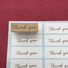 Item thumbnail for item d11c36b4-708c-4cff-900f-61708fd03076