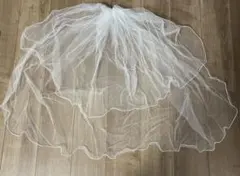 Item thumbnail for item 290bed2d-cdb2-4899-84e7-30a0ed026071