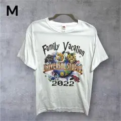 フルーツオブザルーム Tシャツ スーパーシンプソンズ　ユニバ　スパイダーマン　夏