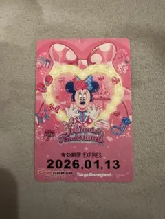 ディズニーリゾートライン　フリーきっぷ　ミニーのファンダーランド　発売初日