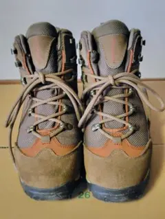 Item thumbnail for item 51769a56-e173-4fc7-ba61-b1cc4fcf7d7d