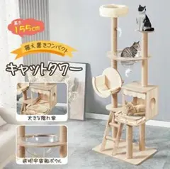 Item thumbnail for item 11328903-b4ce-43be-a79a-169b3c388297