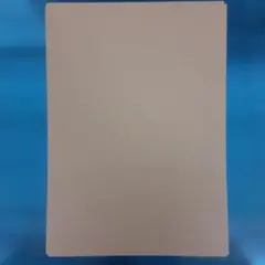 Item thumbnail for item 9b581eba-976d-431b-a22c-d2ae2cf1ad84