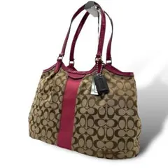 良品 329 コーチ トートバッグ A4 シグネチャー キャンバス レザー 茶