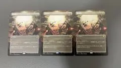 神の怒り ボーダーレス 3枚セット新品未使用 日本語 フルアート 匿名配送