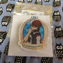 ヒロアカ アクキー 轟