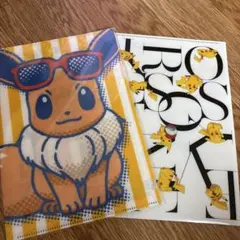 ポケモン クリアファイル 2枚セット