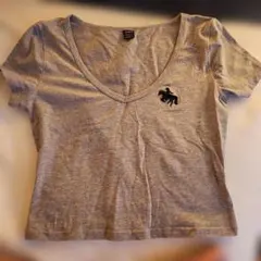 SHEIN Vネック 半袖Tシャツ グレー 刺繍入りのサムネイル