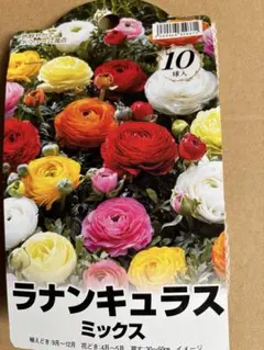 アーサー様 リクエスト 3点 まとめ商品