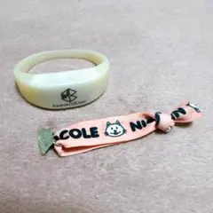 BUMP OF CHICKEN PATHFINDER ツイストバンド ニコル