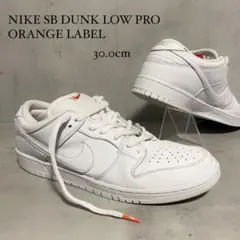 NIKE ナイキ スケートボーディング ダンク ロー プロ スニーカー　30cm