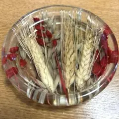 Item thumbnail for item e0754a24-7964-4445-96d3-09c9b655fd00