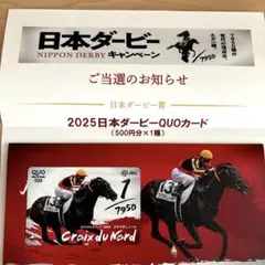 【非売品】2025日本ダービーキャンペーン　クロワデュノール使用済みQUOカード