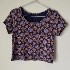 美品 UNIQLO ポール & ジョー クロップド UTグラフィックTシャツ Ｌ