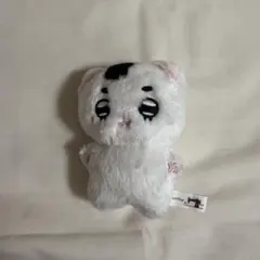 2025年最新】グループ名：NCTグループ ぬいぐるみ・マスコットの人気