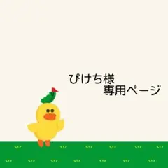 ぴけち様☆専用ページ【入園入学４点セット】