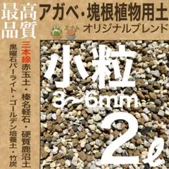 【三本線赤玉土使用】アガベ・塊根植物用土「小粒」 2㍑ グラキリス 現地株 実生のサムネイル