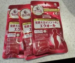 Item thumbnail for item 2c0f519d-837b-4572-b1db-87a6093f972c