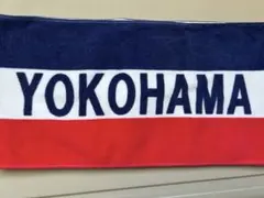 Item thumbnail for item c783388c-7415-4861-91f4-94eb4f5151b7