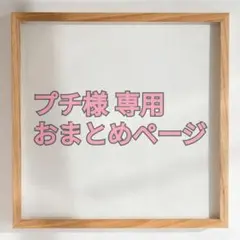 プチ 様専用 おまとめページ