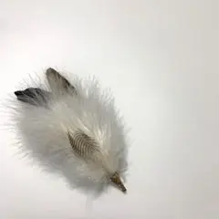 帽子　ブローチ