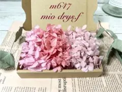 ❤︎ゆうこ様ご専用ページで御座います❤︎