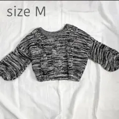 Item thumbnail for item 100135df-bea0-40ac-9913-ae111f0534f7