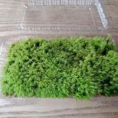 kiyomi様 リクエスト 2点 まとめ商品