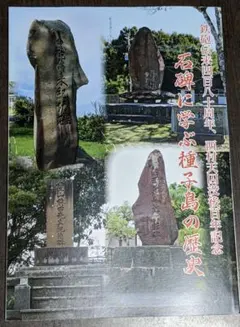 珍品 幕末〜明治期 鳳凰図変形徳利 無傷 本物保証 - メルカリ