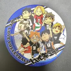ハイキュー展 コレクション缶バッジ 第5弾 ちびキャラ マット加工