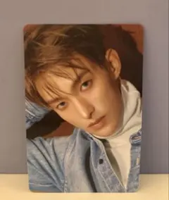 SEVENTEEN DxS Serenade ドギョム フォトカードホルダー