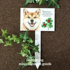 ガーデンピック(柴犬)デコパージュ　豆柴　犬柄　犬雑貨　四つ葉　ペット　園芸のサムネイル